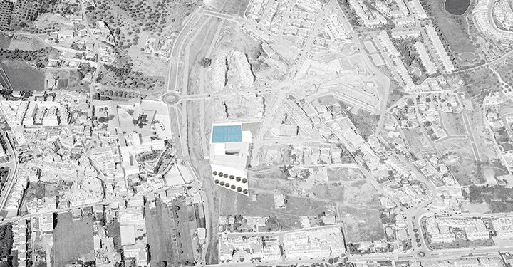 Imagen aerea con la implantación de la propuesta en la parcela.